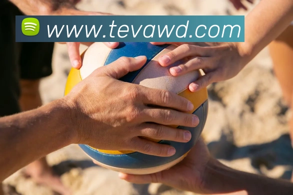 多媒体互动体验